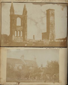 Onbekende maker, Brits - De tuin van Sir David Brewster met de westelijke toren van de kathedraal op de achtergrond